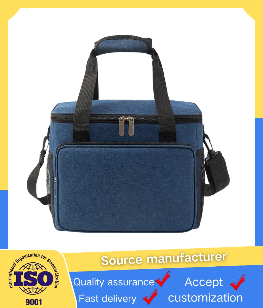 Oxford Cloth Insulated Cooler Bag OEM Bulk Supply for Catering & Outdoor Events - View 5
